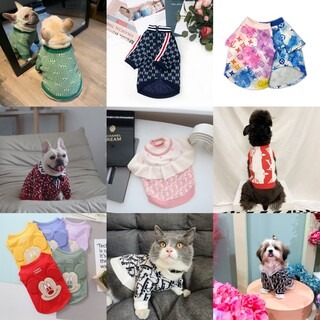 แฟชั่นสัตว์เลี้ยง